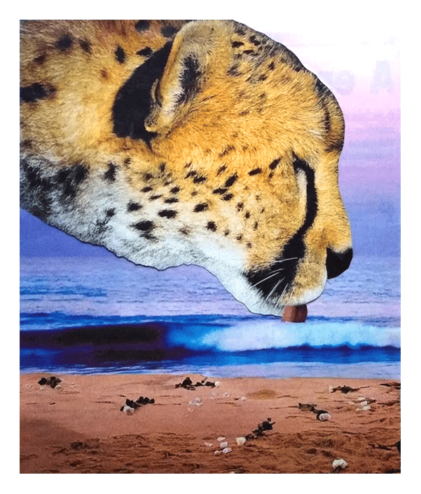 Collage Universe - image 3 - student project