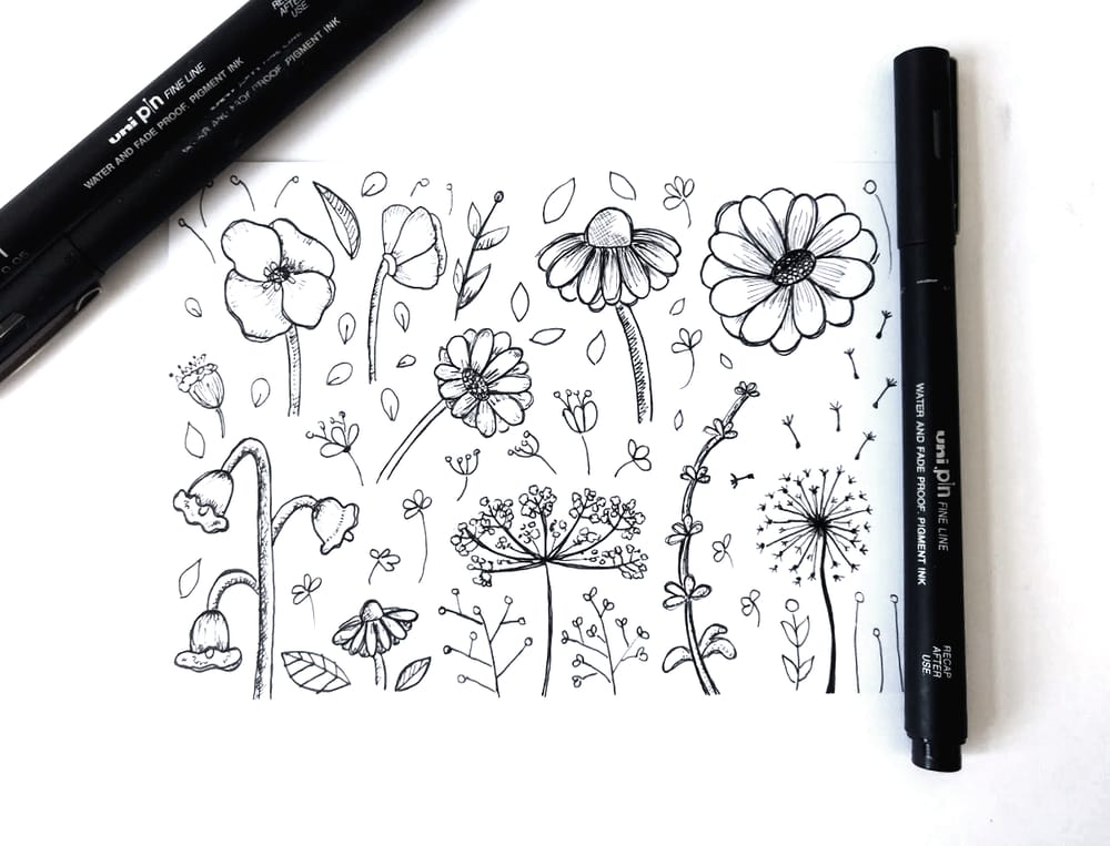Wildflowers - image 1 - student project