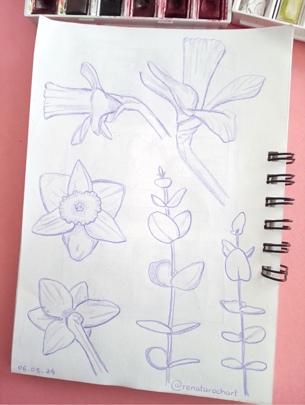 Botanicals - image 1 - student project