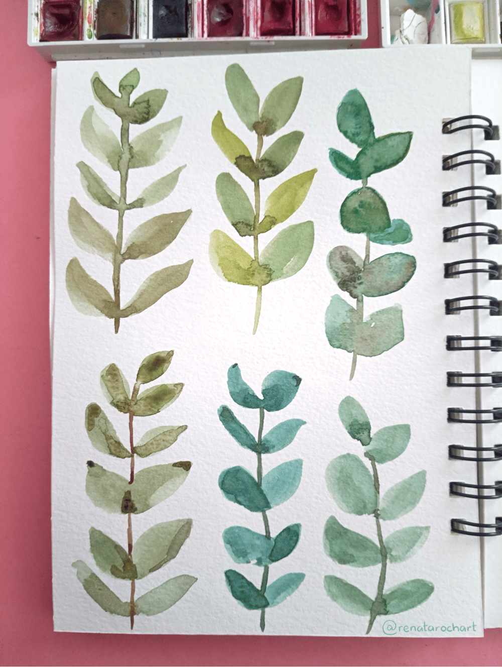 Botanicals - image 7 - student project