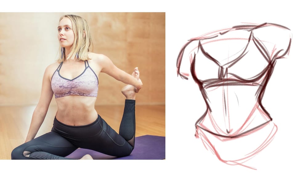 Female Torso Practice! - image 2 - student project
