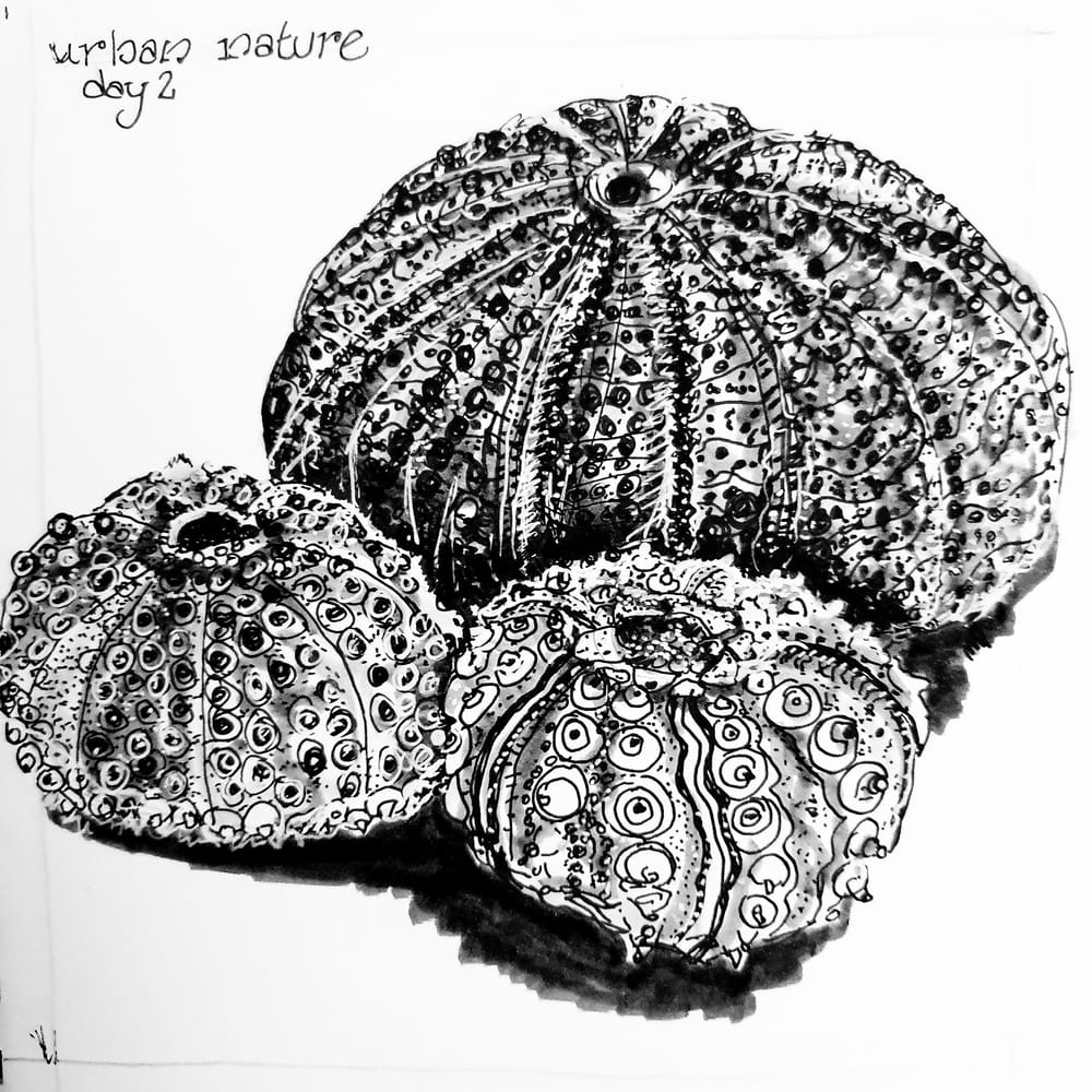 Day 3 - image 1 - student project