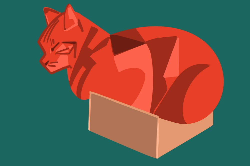 A Clowder (yes really) of Cats - image 3 - student project