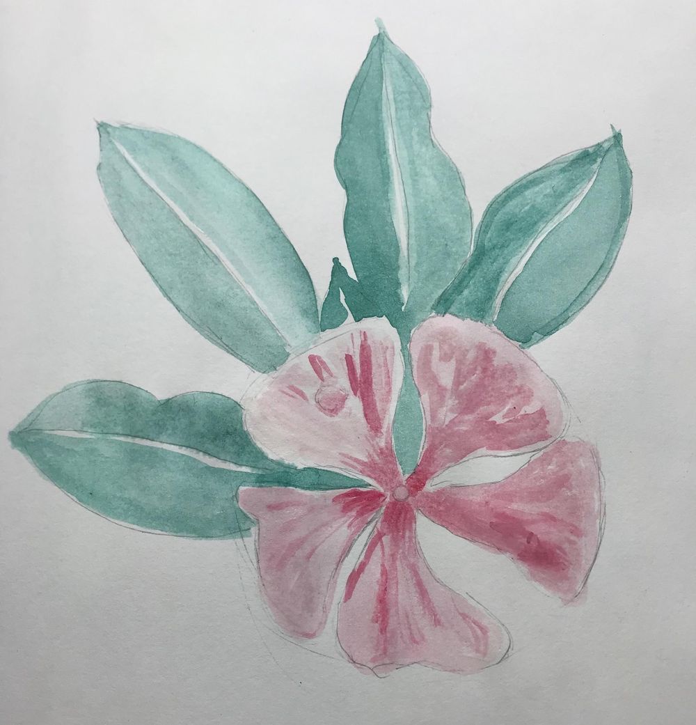 Vintage Inspired Botanical - image 3 - student project