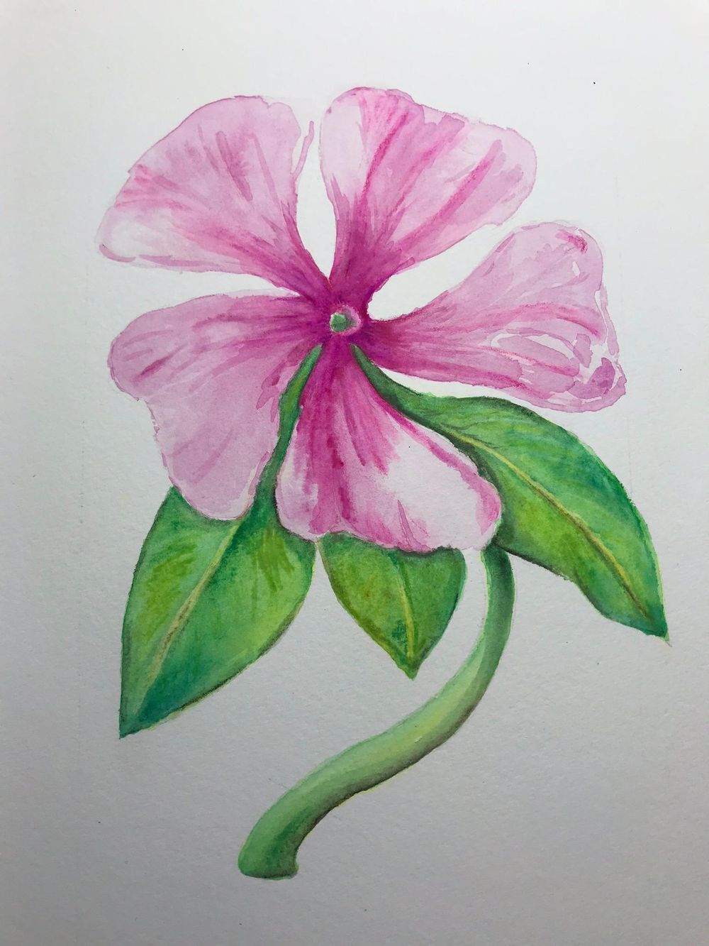 Vintage Inspired Botanical - image 1 - student project