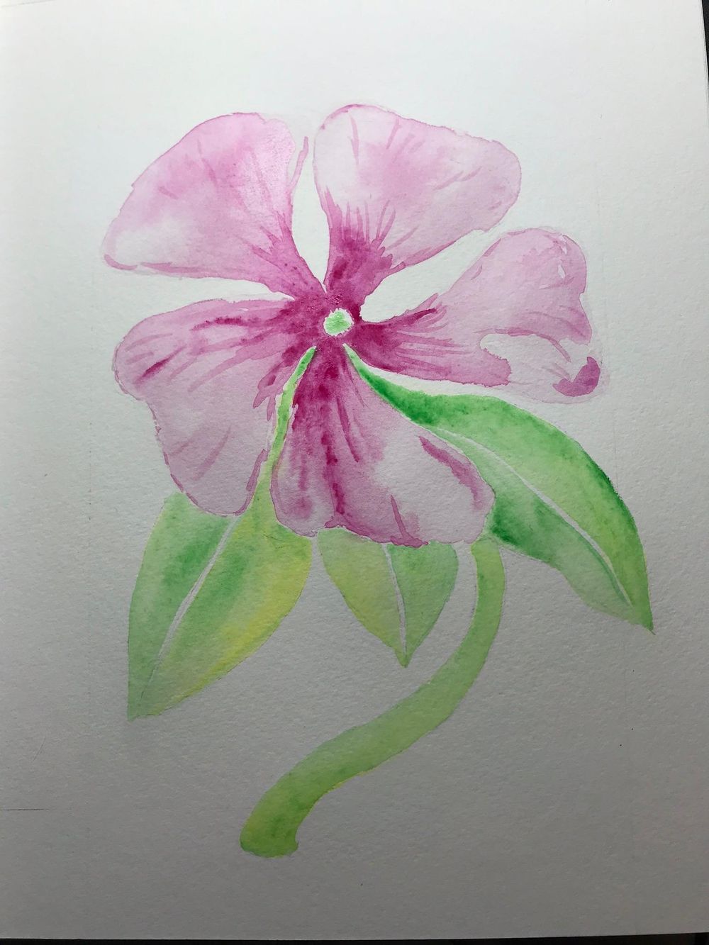 Vintage Inspired Botanical - image 2 - student project