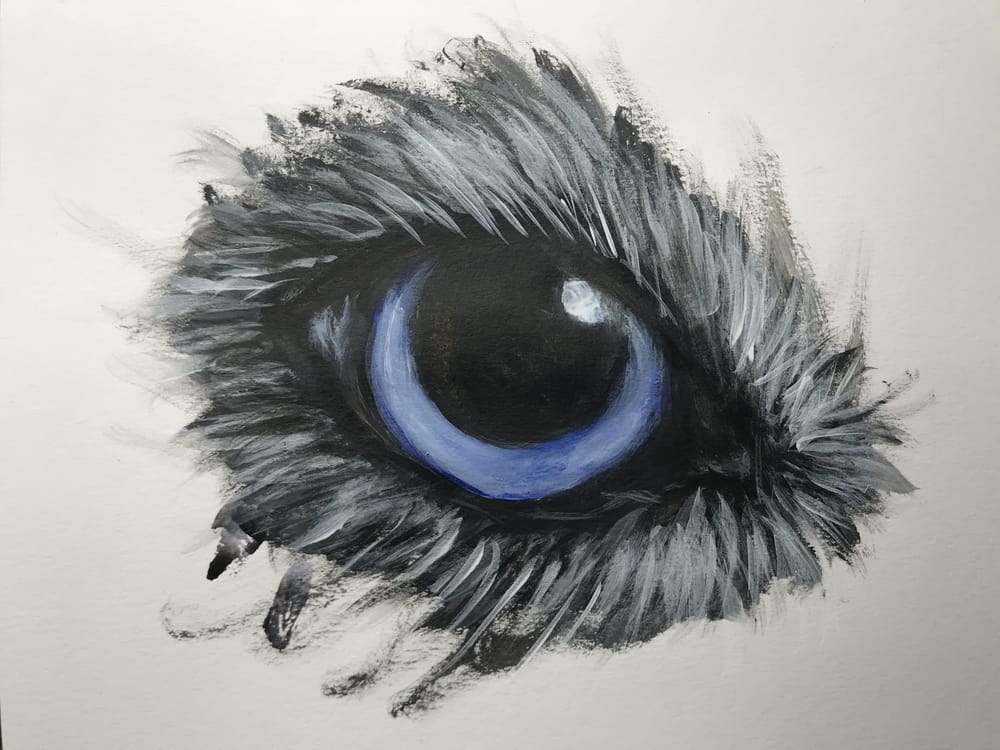 Eyes Study - image 1 - student project