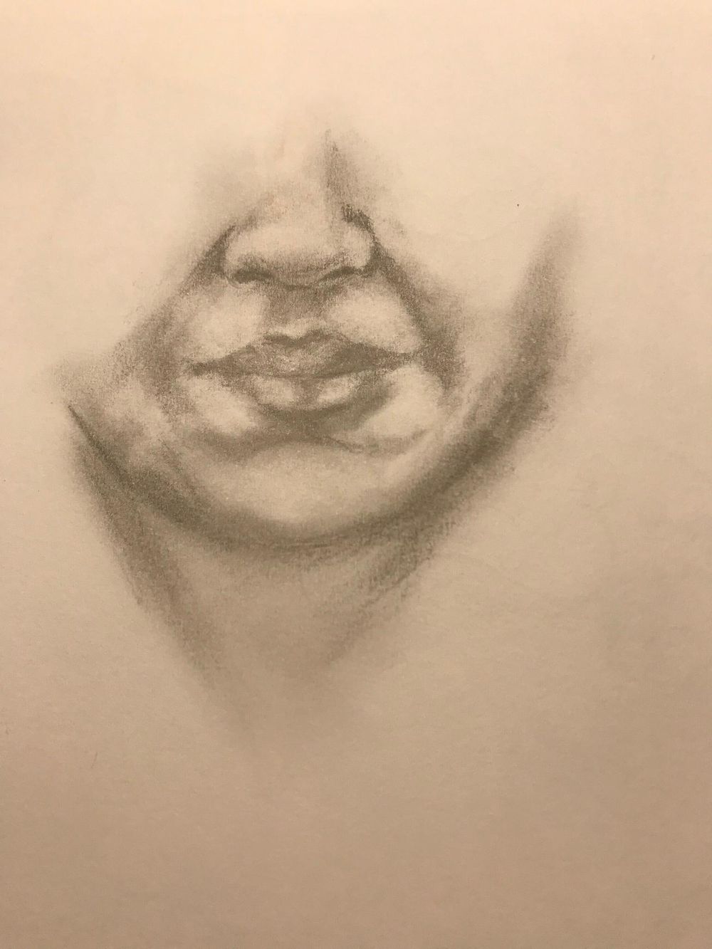 Portraiture Drawing - image 3 - student project