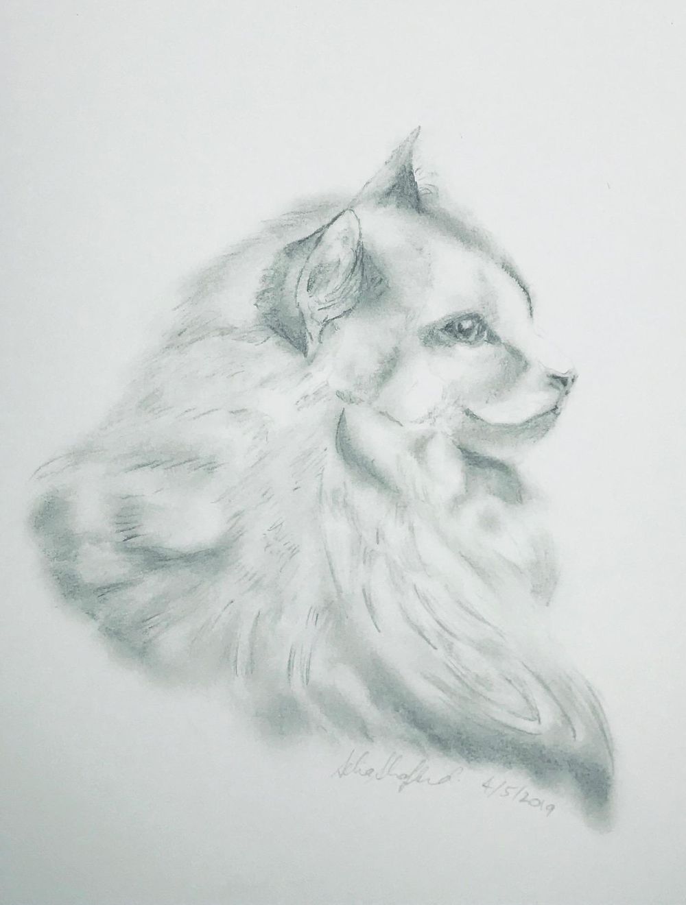 Portraiture Drawing - image 5 - student project