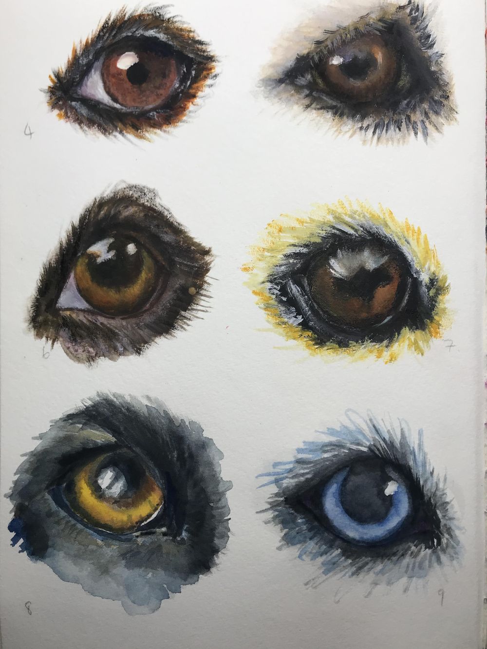 Eyes Study - image 2 - student project
