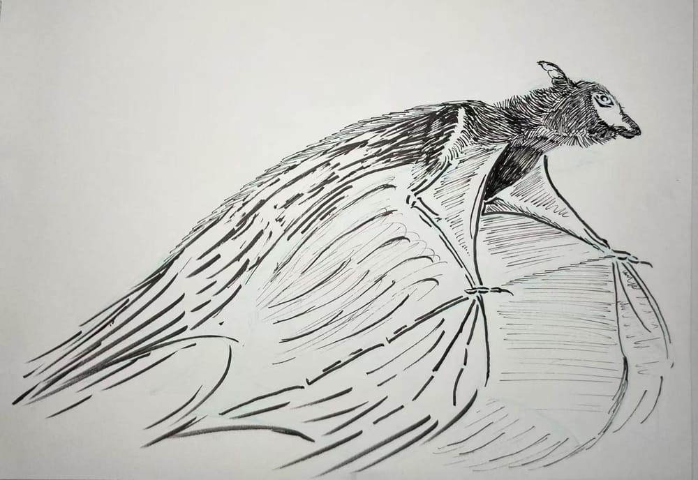 Finding My (Ink) Lines - image 2 - student project