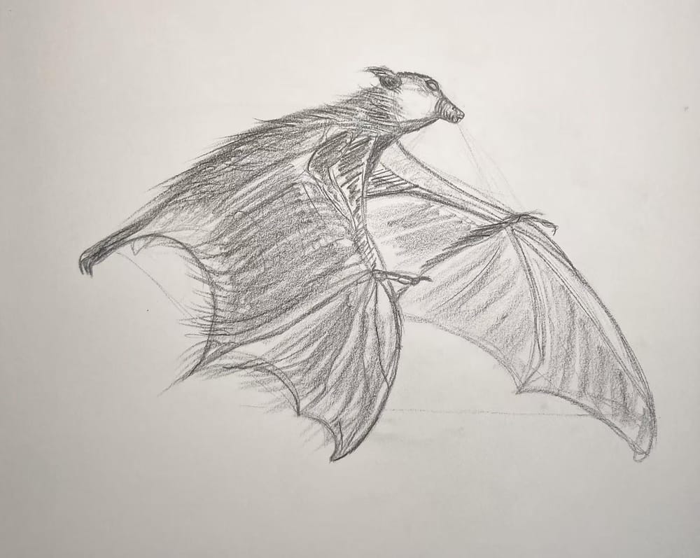 Finding My (Ink) Lines - image 1 - student project
