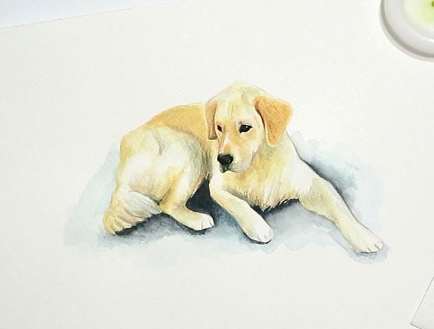 Dog Illustration - Balú - image 8 - student project