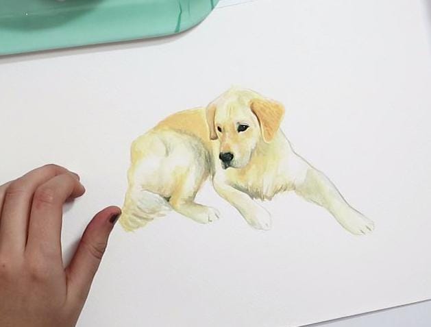 Dog Illustration - Balú - image 7 - student project