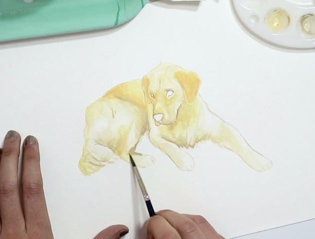 Dog Illustration - Balú - image 5 - student project