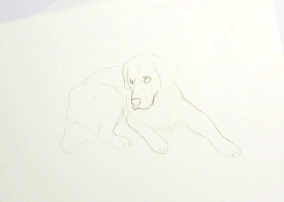Dog Illustration - Balú - image 2 - student project
