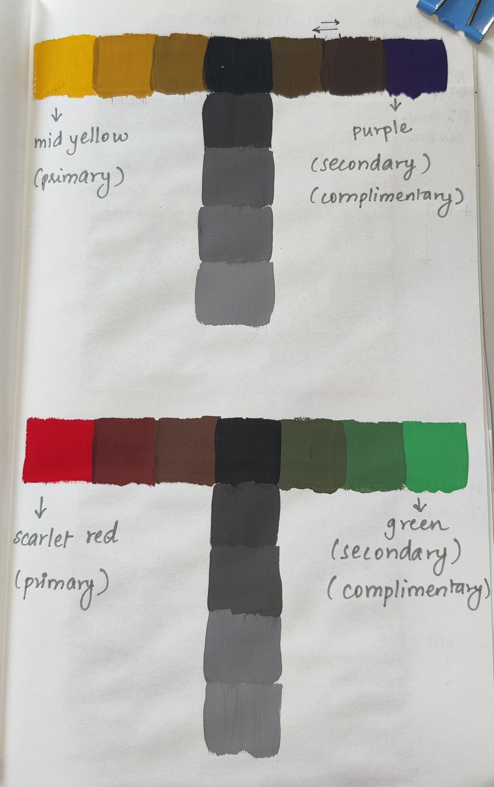 COLOR COLLECTING WITH MARIE-NOELLE WURM - image 5 - student project