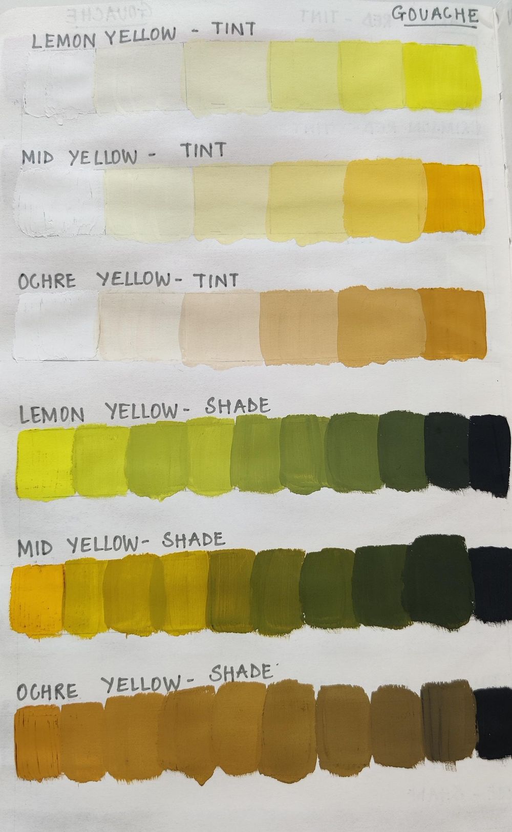 COLOR COLLECTING WITH MARIE-NOELLE WURM - image 2 - student project