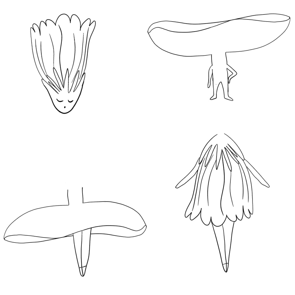 Botanical character illustration - image 2 - student project