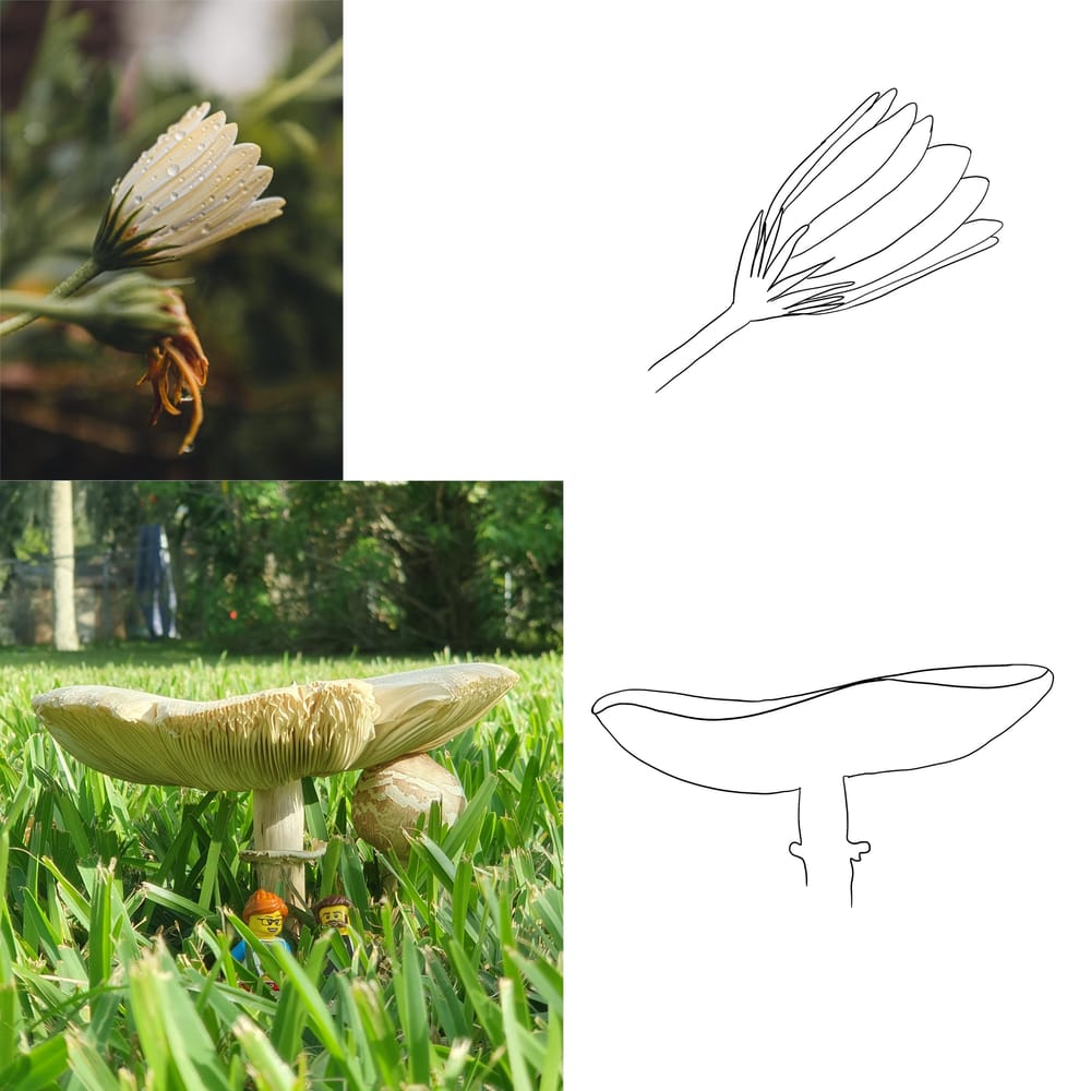 Botanical character illustration - image 1 - student project