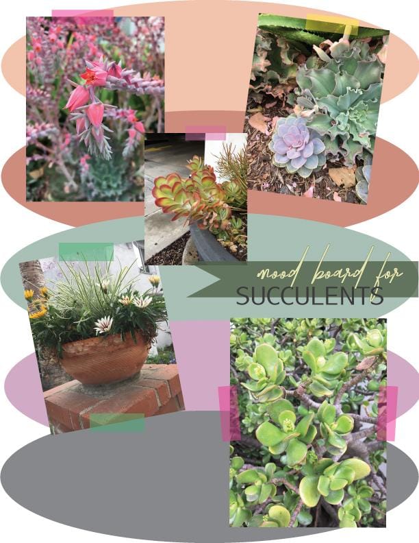 Illustrate from Photos & Paintings: Design 4 Patterns in 3 Weeks (#3) - image 8 - student project