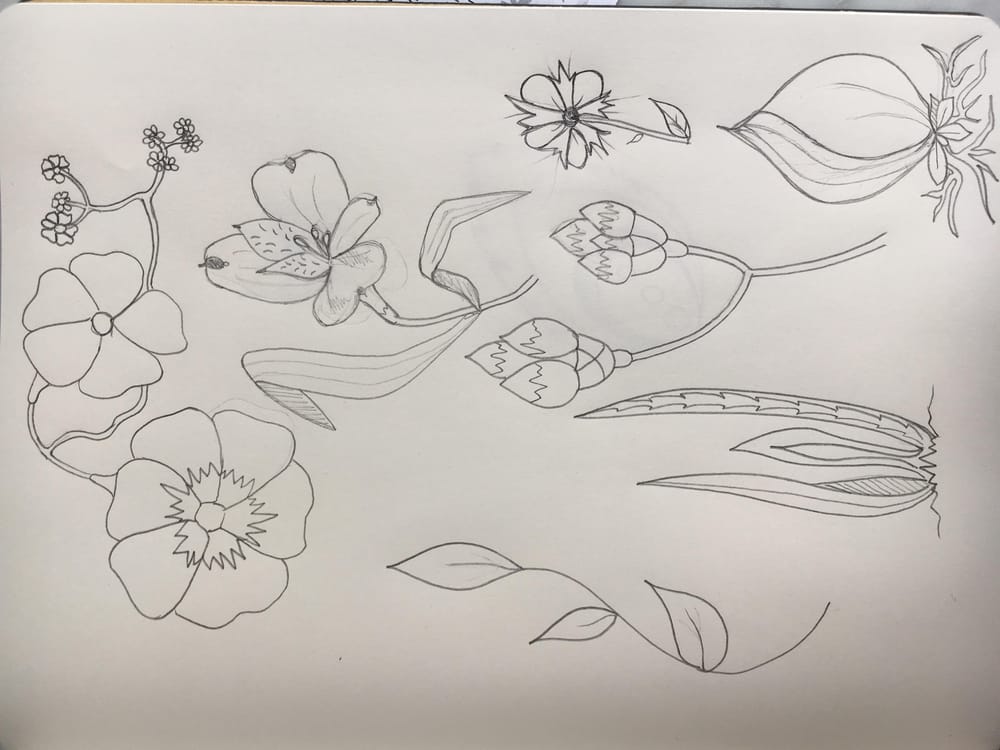 Illustrate from Photos & Paintings: Design 4 Patterns in 3 Weeks (#3) - image 11 - student project