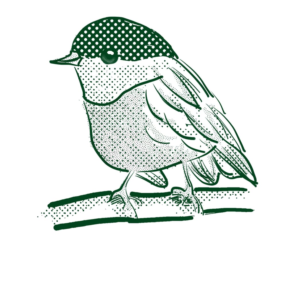 Bird lineart - image 2 - student project
