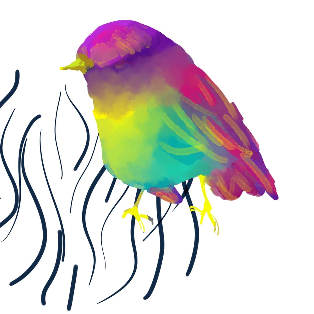 Bird lineart - image 1 - student project