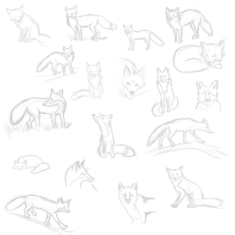 Cute little fox - image 1 - student project