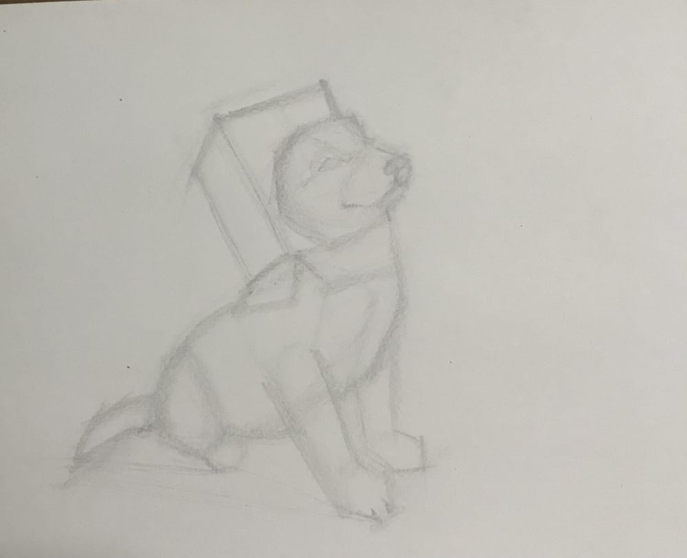 Week 1 - image 20 - student project