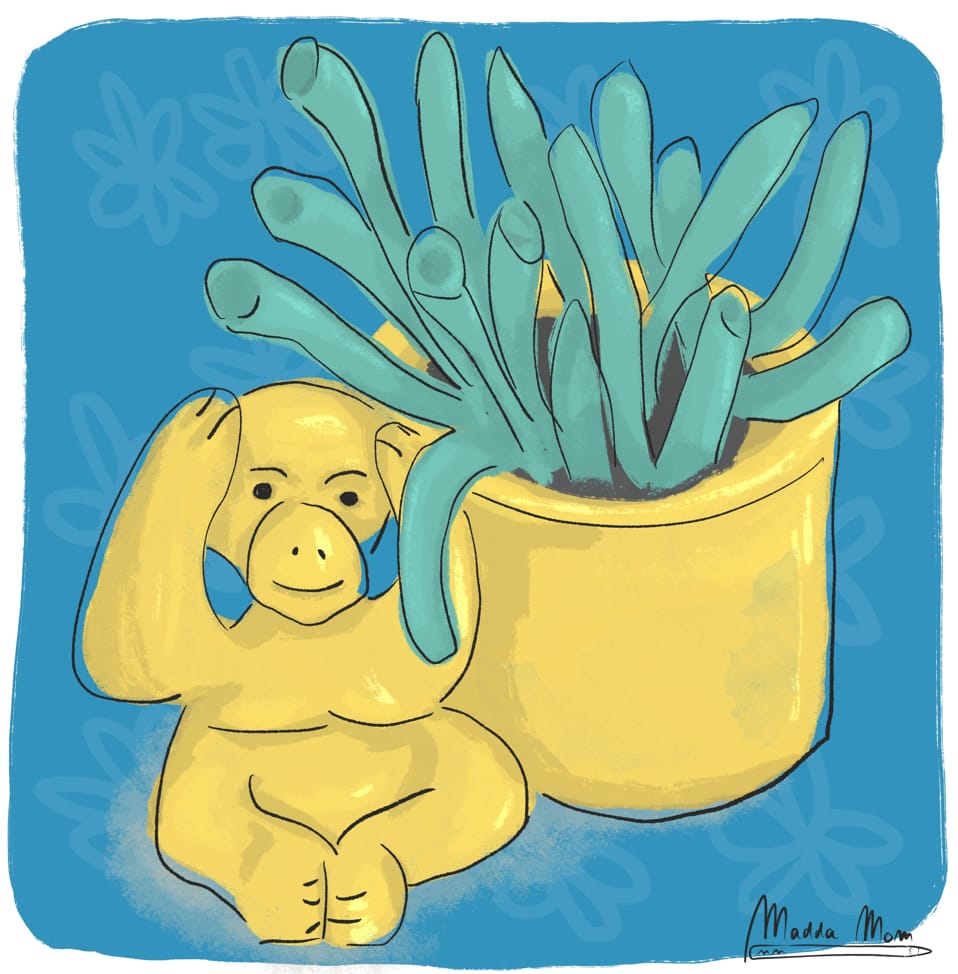 My short botanical illustration - image 3 - student project