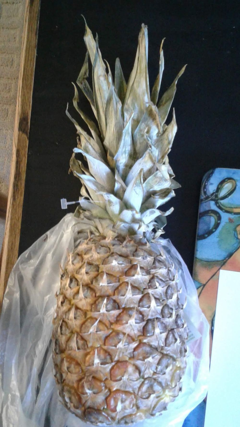 Pineapple Painting, and cake. - image 1 - student project