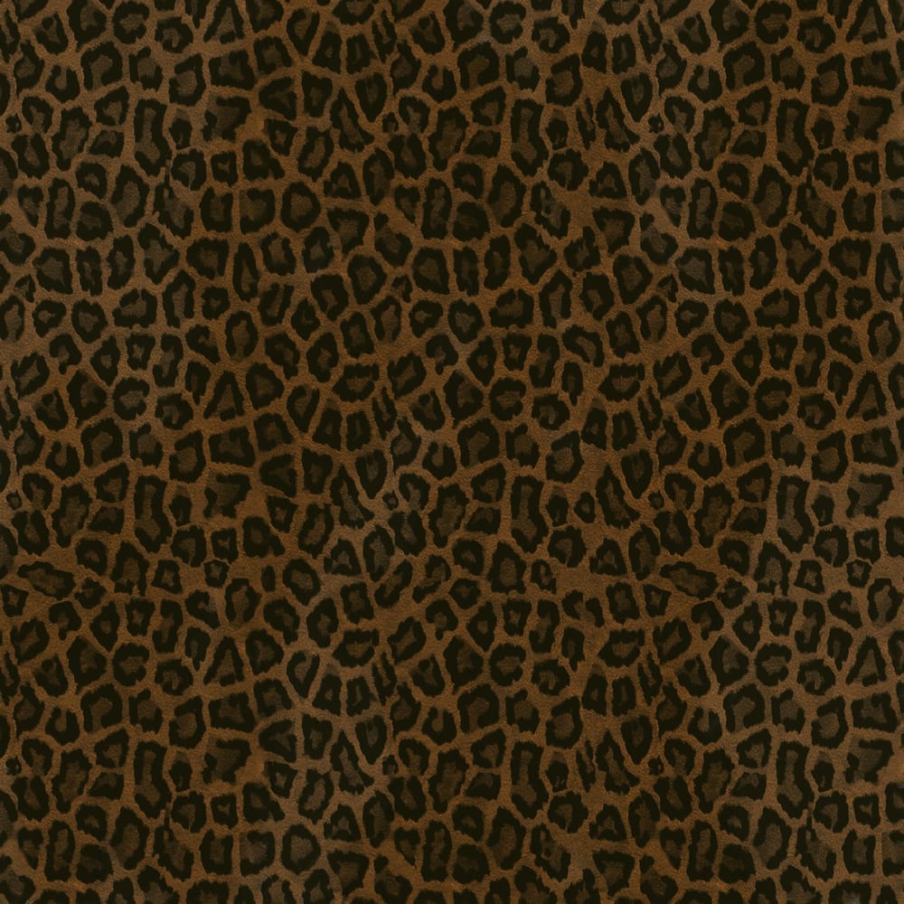 fur brushes - image 1 - student project