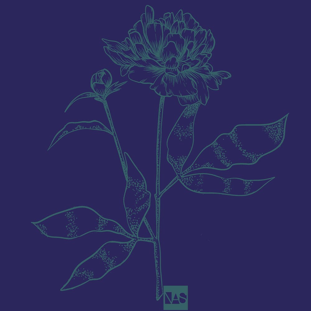 PS Digitized Line Art - image 2 - student project