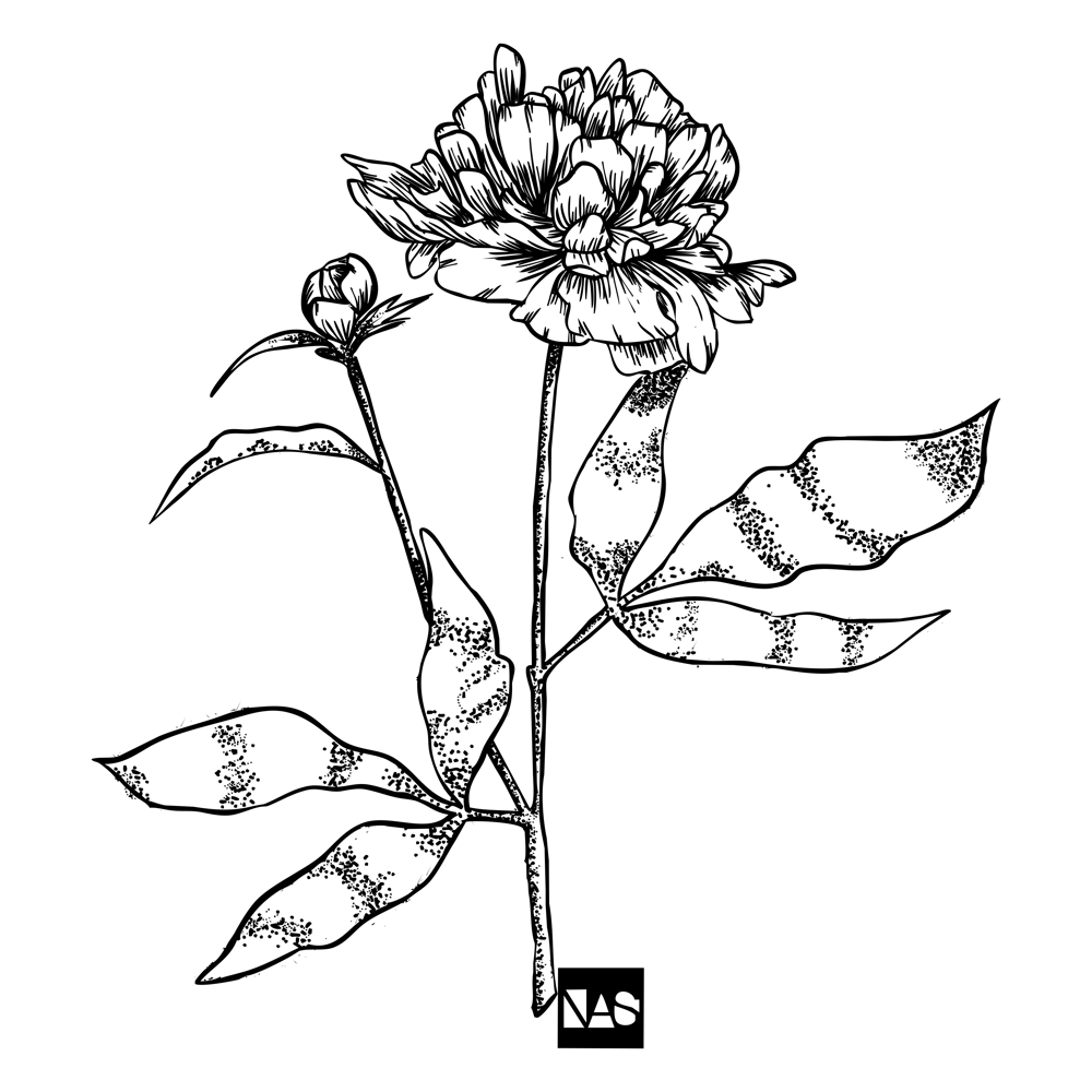 PS Digitized Line Art - image 1 - student project