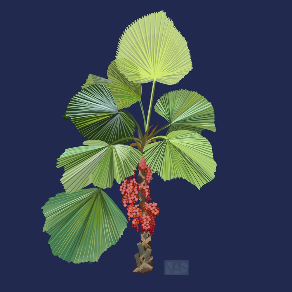 First submission…p - image 2 - student project
