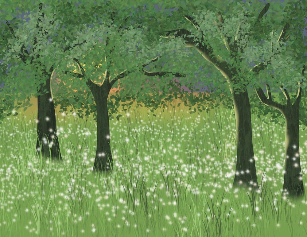 Firefly Forest - image 1 - student project