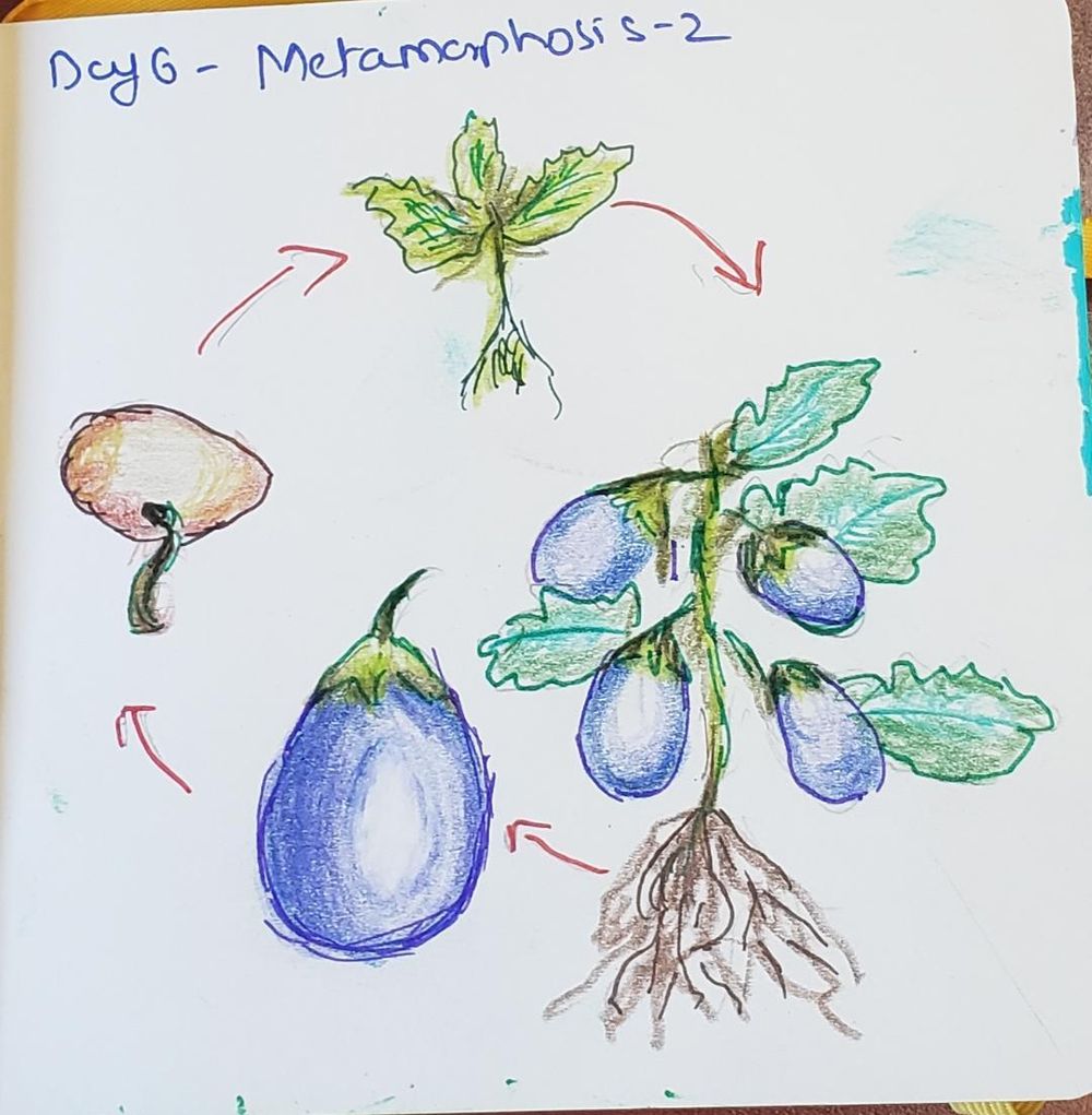 Fearless Drawing Challenge_Utpal - image 6 - student project