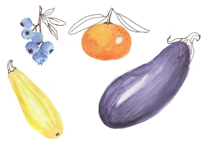 Fruit, Veggies, and Flowers - image 2 - student project