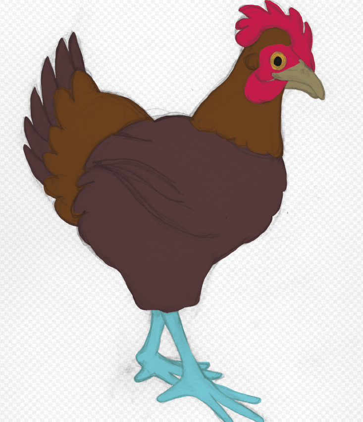 My Pet Chickens Skillshare Student Project