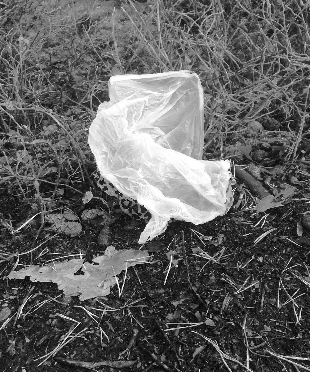 Homecity outdoor - image 6 - student project