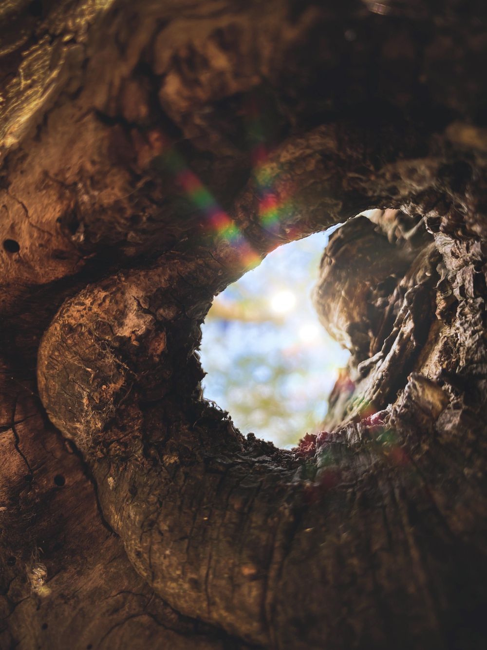 Few iPhone 11 Pro photos over the last couple of weeks - image 5 - student project