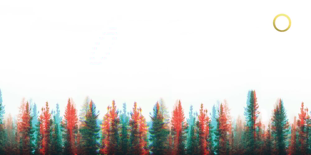 Techinicolor forest - image 3 - student project