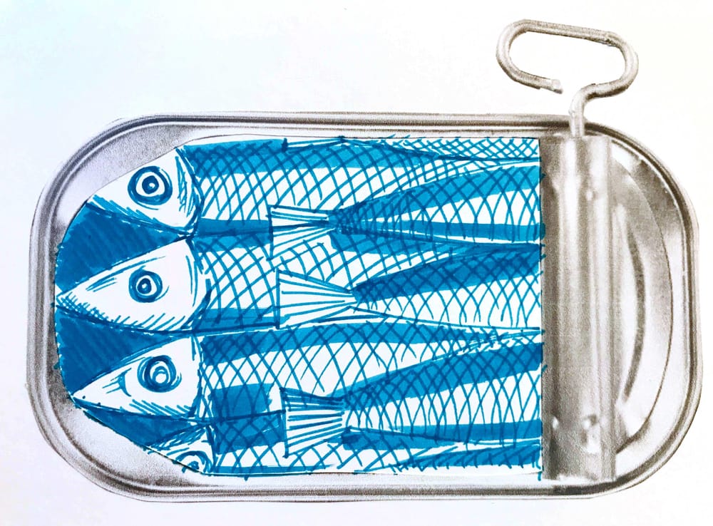 Sardines... - image 6 - student project