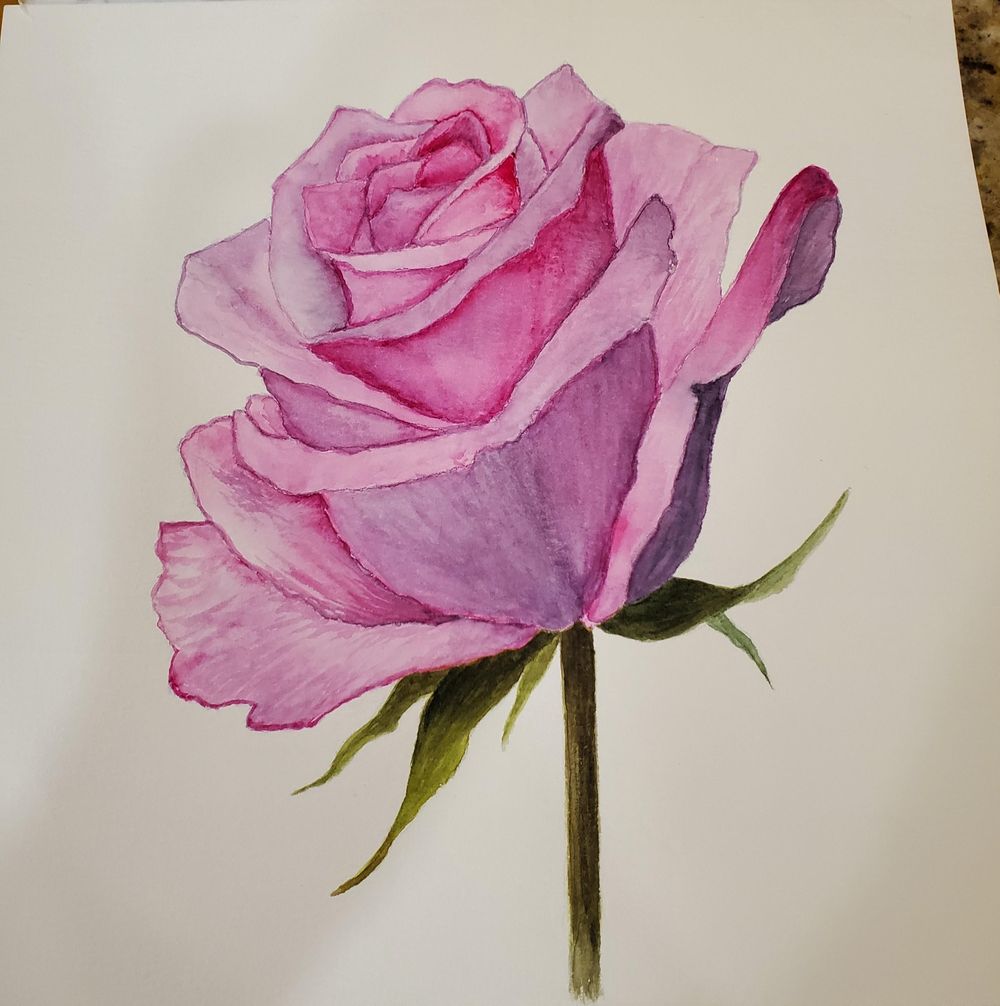 Rose - image 1 - student project