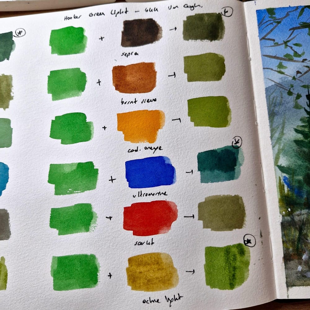 forest landscape - image 2 - student project