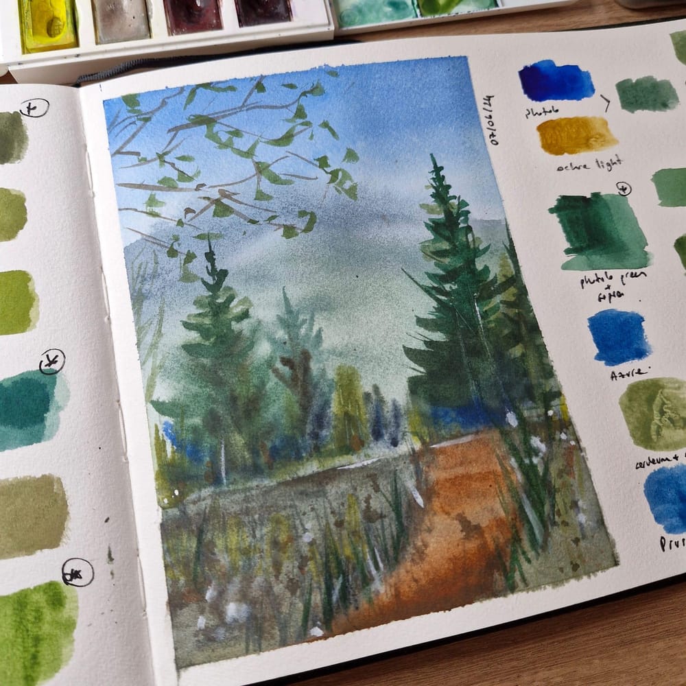forest landscape - image 1 - student project