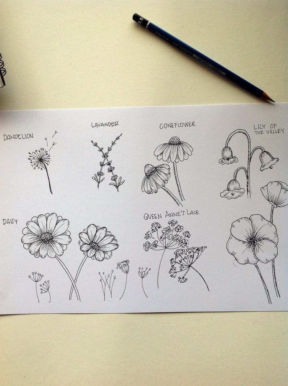 inked Wild Flowers - image 1 - student project