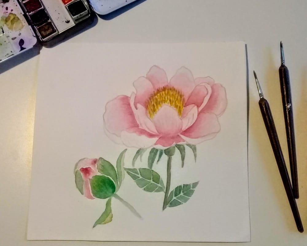 My pretty peonies - image 3 - student project