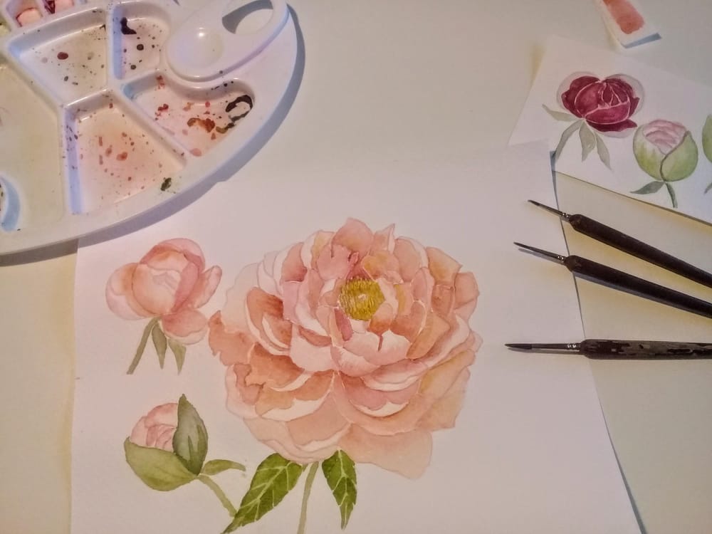 My pretty peonies - image 4 - student project